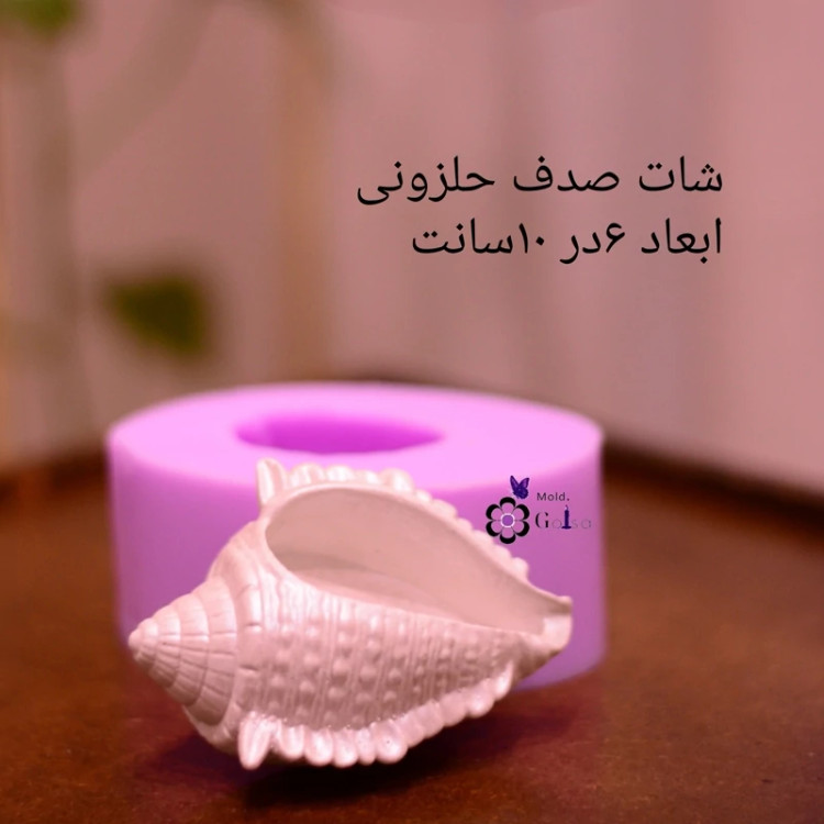 شات صدف حلزونی کوچک مناسب شات شمع