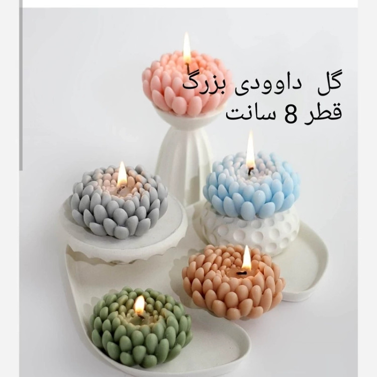 قالب داوودی بزرگ قطر 8سانت