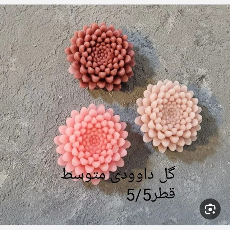 قالب داوودی بزرگ قطر 8سانت