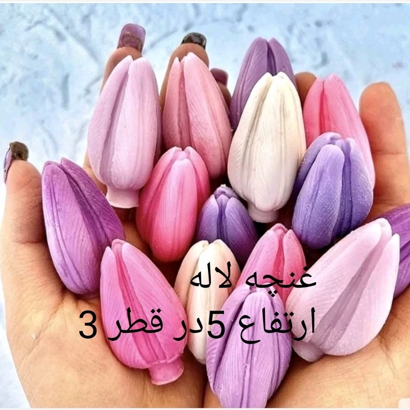 قالب غنچه لاله ارتفاع 5سانت 