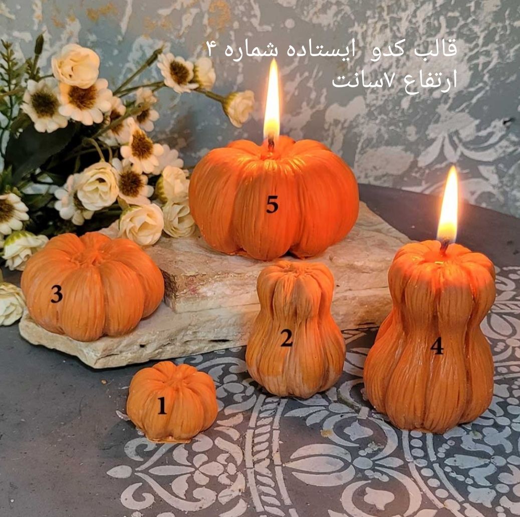 قالب کدو شماره 4